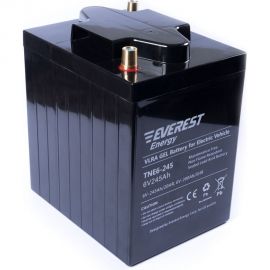 Тяговая аккумуляторная батарея EVEREST Energy TNE 6-245 