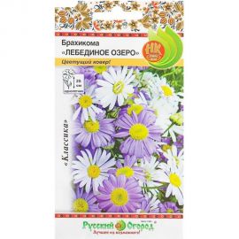 Семена РУССКИЙ ОГОРОД Цветы Брахикома Лебединое озеро 0.1 г 702190 