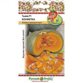 Семена РУССКИЙ ОГОРОД Тыква Конфетка F1 Вкуснятина 4 шт. 304212 