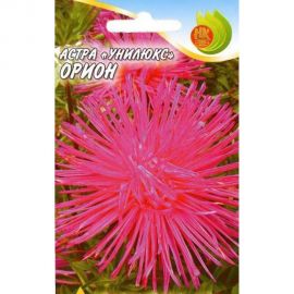 Семена РУССКИЙ ОГОРОД Цветы Астра Унилюкс ОРИОН 0.3 г 701464 
