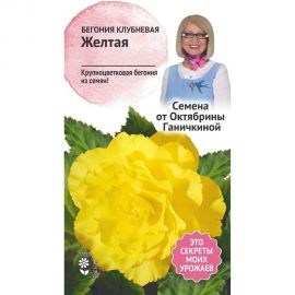 Семена ОКТЯБРИНА ГАНИЧКИНА Бегония клубневая Желтая 6 шт. 118853 