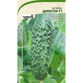 Семена САДОВИТА Огурец Директор F1 5 семечек 00155605 