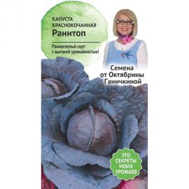Семена ОКТЯБРИНА ГАНИЧКИНА Капуста краснокочанная Ранитоп 0.3 г 119103 