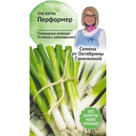 Семена ОКТЯБРИНА ГАНИЧКИНА Лук батун Перформер 0.15 г 121246 