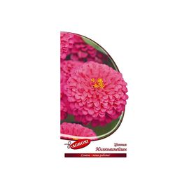 Семена Агрони Цинния георгиноцветная ИЛЛЮМИНЕЙШН 8139 