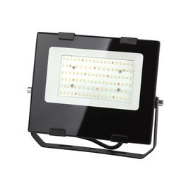 Прожектор ЭРА FITO50WRa90LED, для цветения и плодоношения, 10/300 Б0047875 