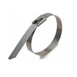 Стальные стяжки FORTISFLEX СКС (304) 4,6х300 74912 