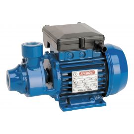 Садовый вихревой насос Speroni KPM 50 101020300 