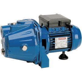 Садовый насос Speroni CAM 40-HL 101155450 