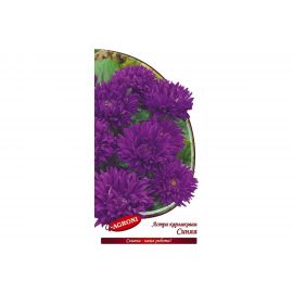 Семена Агрони Астра карликовая СИНЯЯ 2878 