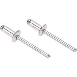 Заклепки REXANT 4,0x12 мм, 50 шт. 12-5354 