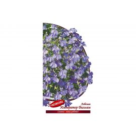 Семена Агрони Лобелия ИМПЕРАТОР ВИЛЬЯМ 3455 