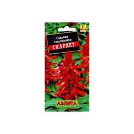 Семена Аэлита Сальвия сверкающая Скарлет однолетний, 0.1 г 4601729071850 