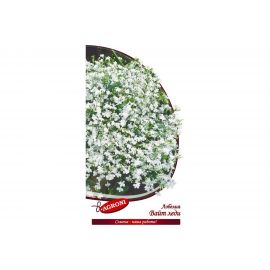 Семена Агрони Лобелия ВАЙТ ЛЕДИ 5626 