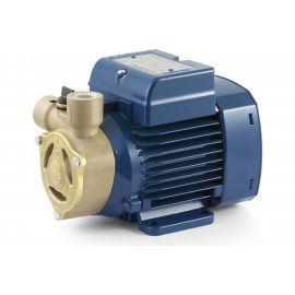 Насос Pedrollo PQAm 60 41PNQA6PA1 
