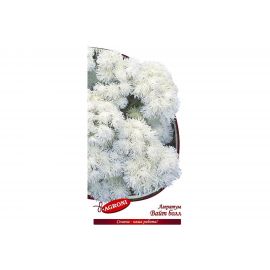 Семена Агрони Агератум ВАЙТ БОЛ 4889 