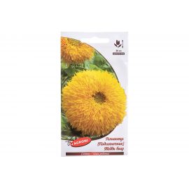 Семена Агрони Подсолнечник гелиантус ТЕДДИ БЕАР 5565 