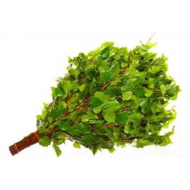 Веник Русский пар БЕРЕЗОВЫЙ в индивидуальной упаковке А-329931 