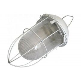 Светильник ЭРА НСП 02-100-003 с решеткой Желудь сталь стекло IP54 E27 max 100Вт белый Б0052019 