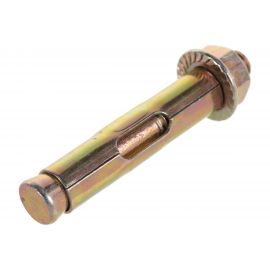 Анкерные болты с гайкой Профикреп пакет, 10,0х60 1 шт 113333 