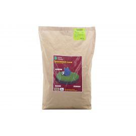 Семена GREEN FINGERS Спортивный газон 8 кг 4607160333137 