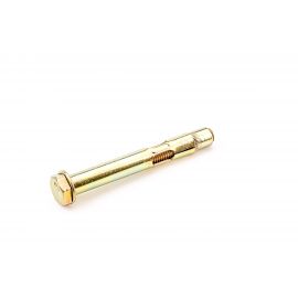 Анкерный болт с шайбой Стройметиз 10х55 уп. 2 шт европодвес 2510221 