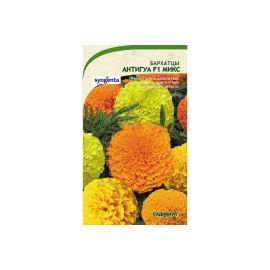 Семена САДОВИТА Бархатцы Антигуа F1 Микс 5 семечек 00161771 
