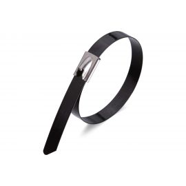 Стальные стяжки с покрытием FORTISFLEX СКС-П 316 4.6х250 74890 