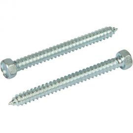 Саморез КВАДРА DIN 7976, 5.5x55, цинк, 6-гр. голова, острый, кор. 100 шт. 765555003100 