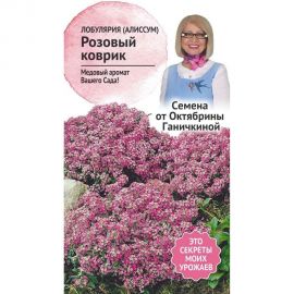 Семена ОКТЯБРИНА ГАНИЧКИНА Лобулярия (алиссум) Розовый коврик 0.1 г 119034 