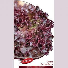 Семена Агрони Салат ЛОЛЛО РОССА 1802 