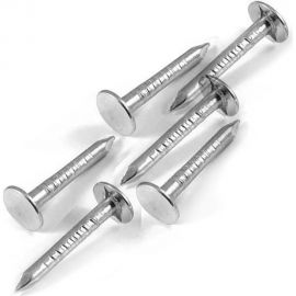 Толевые гвозди из оцинкованной проволоки Северсталь-Метиз 2,0x25, пакет 1 кг NCT018000200025-09 