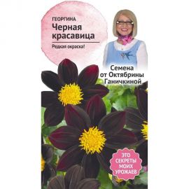 Семена ОКТЯБРИНА ГАНИЧКИНА Георгина Черная красавица 5 шт. 119666 