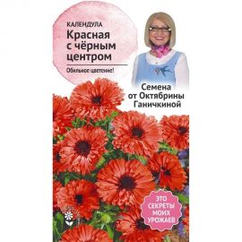Семена ОКТЯБРИНА ГАНИЧКИНА Календула Красная с черным центром 0.3 г 119020 