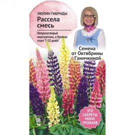 Семена ОКТЯБРИНА ГАНИЧКИНА Люпин Гибриды Расселя смесь, 0.5 г 122838 