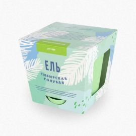 Набор для выращивания растений Тысяча Листьев Ель сибирская голубая tl-002 