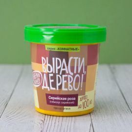 Набор для выращивания растений Вырасти,Дерево! Сирийская роза zk-126 