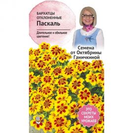 Семена ОКТЯБРИНА ГАНИЧКИНА Бархатцы Паскаль 0.15 г 118850 