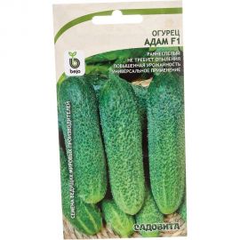 Семена САДОВИТА Огурец Адам F1 5 семечек 00140107 