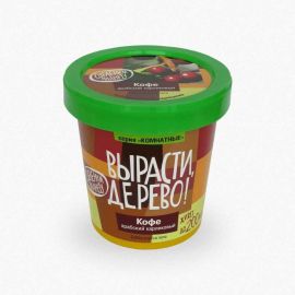 Набор для выращивания растений Вырасти,Дерево! Кофе арабский zk-012 