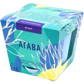 Набор для выращивания растений Тысяча Листьев Агава tl-025 