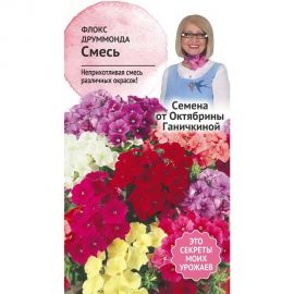 Семена ОКТЯБРИНА ГАНИЧКИНА Флокс друммонда смесь 0.1 г 119355 