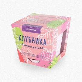 Набор для выращивания растений Тысяча Листьев Клубника ремонтантная tl-020 