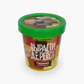 Набор для выращивания растений Вырасти,Дерево! Гардения zk-044 