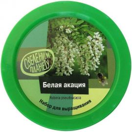 Набор для выращивания растений Вырасти,Дерево! Белая акация zk-076 