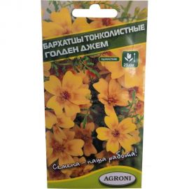 Семена Агрони Тагетес тонколистный, бархатцы ГОЛДЕН ДЖЕМ 8078 