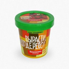 Набор для выращивания растений Вырасти,Дерево! Земляника ананасная zk-038 