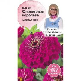 Семена ОКТЯБРИНА ГАНИЧКИНА Цинния Фиолетовая королева 0.5 г 119359 