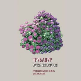 Семена Агрони Астра китайская ТРУБАДУР 2066 