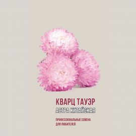 Семена Агрони Астра китайская КВАРЦ ТАУЭР 1915 